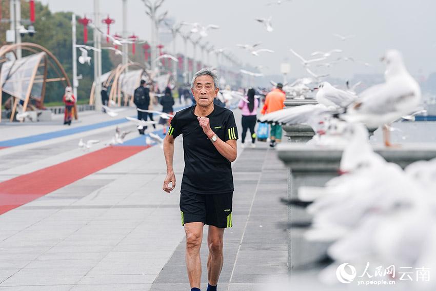 昆明海埂大壩，人鷗和諧共處。尹彪攝