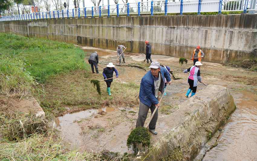 雲南澄江開啟2021年撫仙湖“湖泊革命”冬季清河行動。澄江市融媒體中心供圖