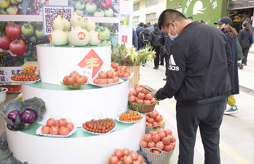 蔬菜種業博覽會現場。