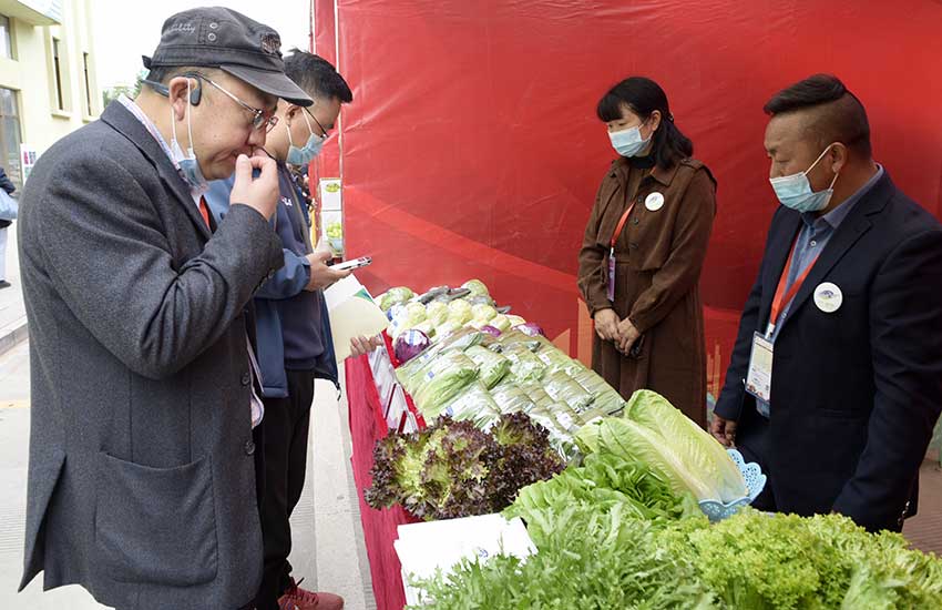蔬菜種業博覽會現場。