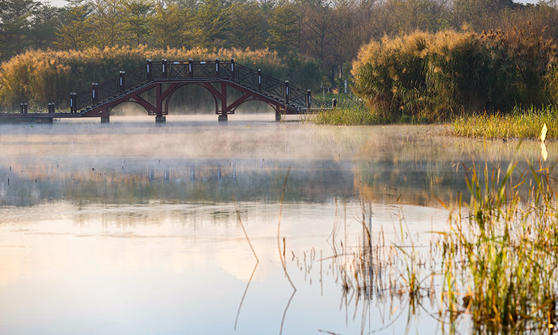 2022年2月9日，開遠市鳳凰濕地水霧縹緲。陶家淇攝