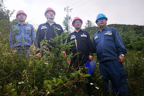 徐峻峰帶領班組人員開展供電線路巡視。王吉聰攝