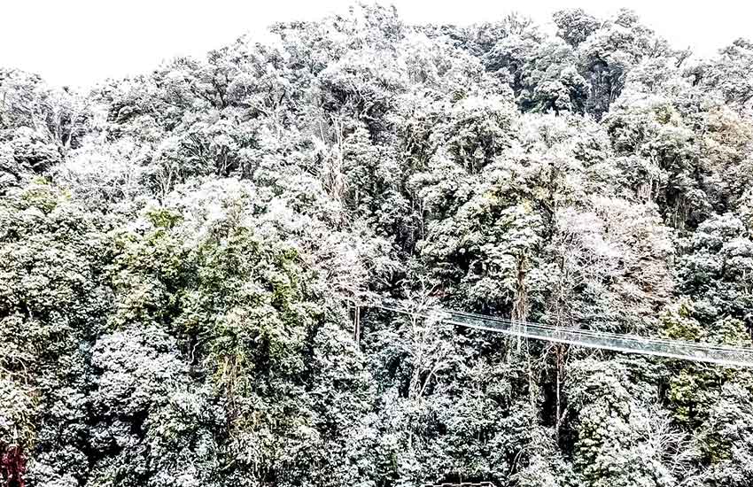 大圍山現冰凌冰挂美景。屏邊縣融媒體中心供圖