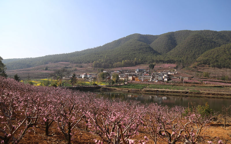 霧本村全景。李武華攝