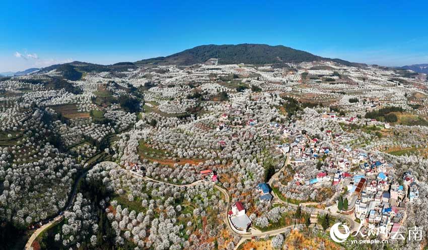 ���ϸ��ɼӼ�կ��Ķ�滨�����������졣���޻���