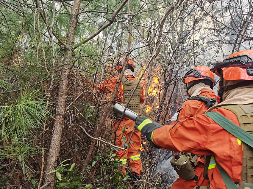灭火现场。大理州森林消防支队供图