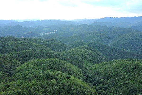 十八连山自然保护区。