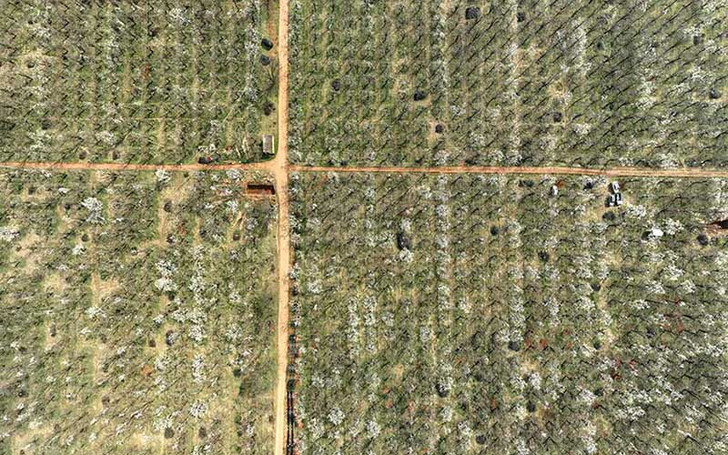 ���������滨���š�