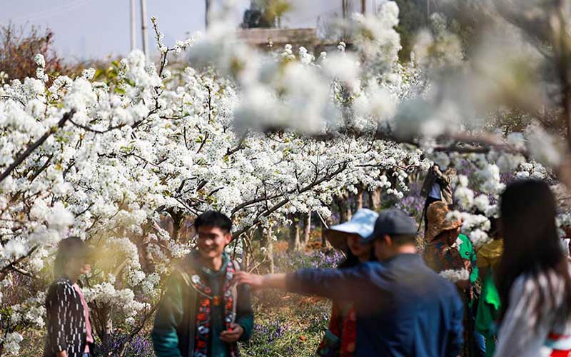 ���������滨���š�