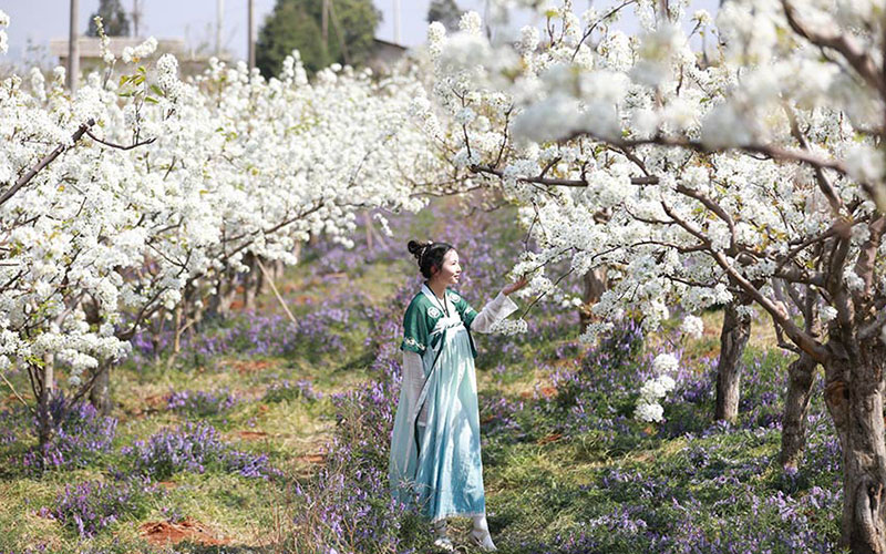 ���������滨���š�