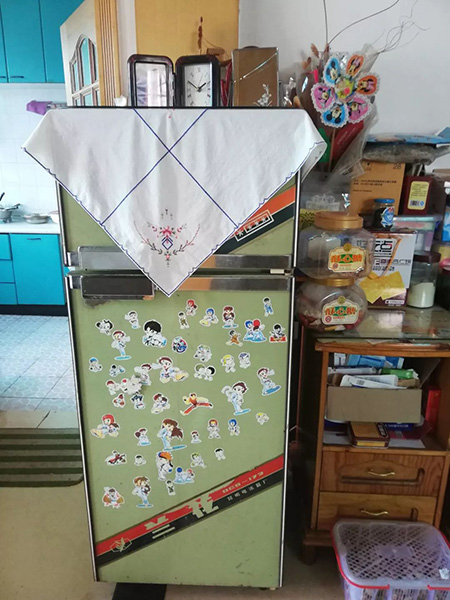 蘭花冰箱。圖片來源:都市時報