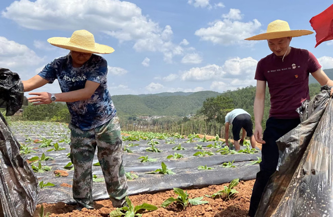 ÷�����ͷ����ǰ�����ũ��Ĥ������ ��������