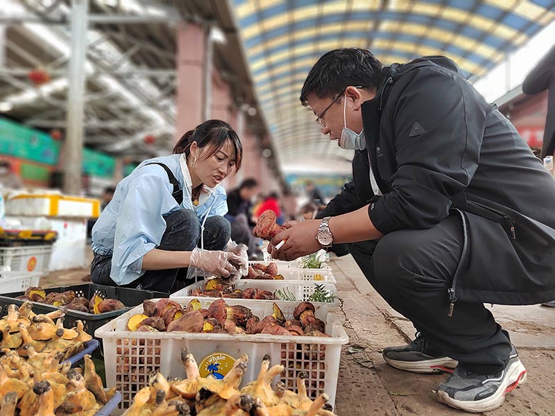 雲南木水花野生菌交易中心一角。官渡區融媒體中心供圖