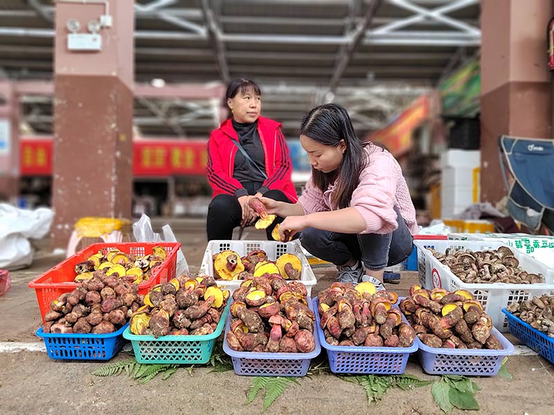 雲南木水花野生菌交易中心一角。官渡區融媒體中心供圖