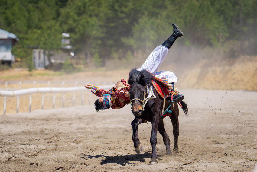 “迪慶·香格裡拉雲上端午賽馬節”在香格裡拉呀啦嗦馬場開幕，盡顯馬背上的激情與速度。香格裡拉市融媒體中心供圖