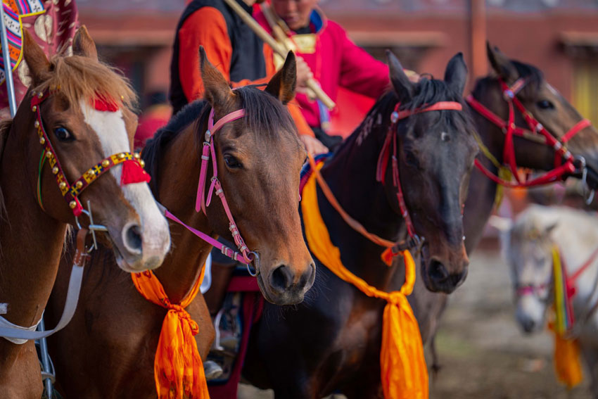 “迪慶·香格裡拉雲上端午賽馬節”在香格裡拉呀啦嗦馬場開幕。香格裡拉市融媒體中心供圖