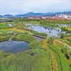 该湿地总面积720亩，为功能型湿地，日进水规模为近期4.5万立方米，远期10万立方米。