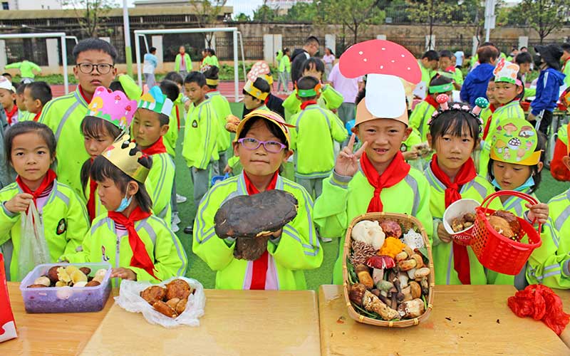 昆明市官渡区“福德菌语”第六届校园野生菌文化节开幕。官渡区融媒体中心供图