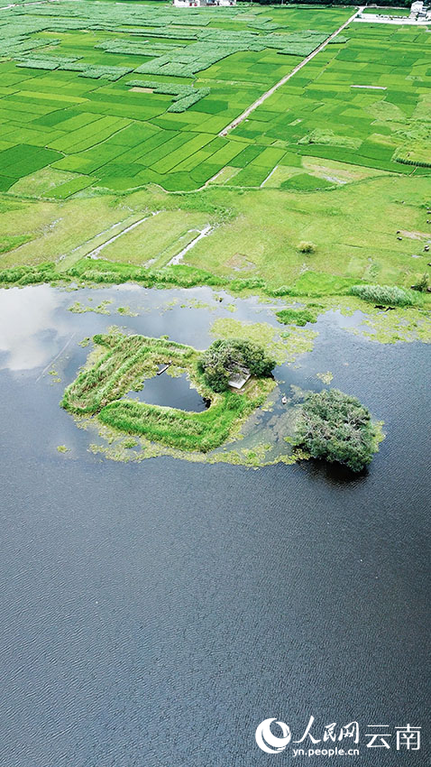 云南大理盛夏绿玉池风景美如画5