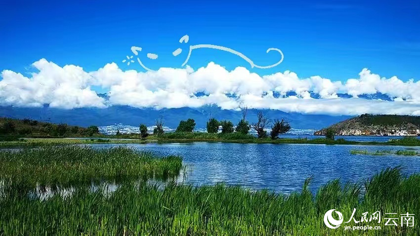 蒼山洱海雲團美景。王金燦攝