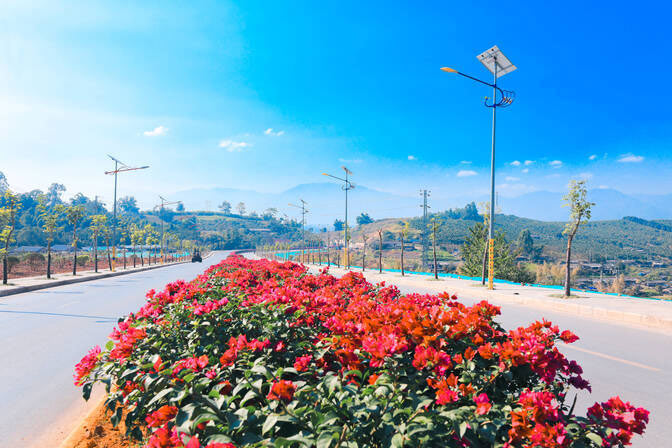 景谷县鲜花迎宾大道。