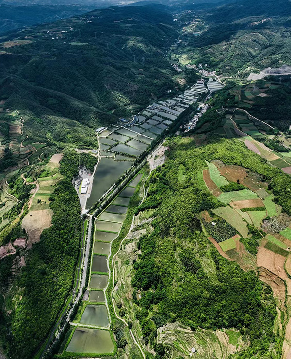 雲南宜良“雲魚谷”水產養殖基。受訪者供圖