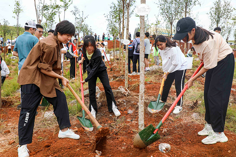 揮鍬鏟土種下希望。陶家淇攝