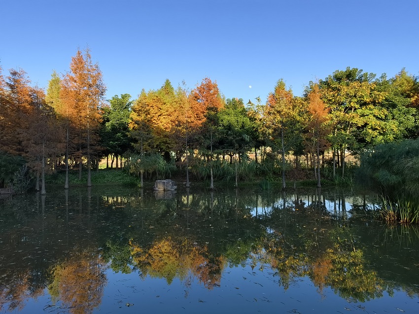 景东县湿地公园。景东县融媒体中心供图