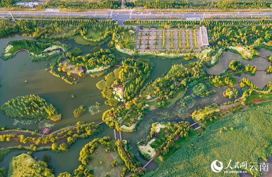 图为2022年6月19日拍摄的宝丰湿地。人民网 虎遵会摄