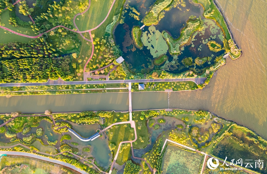 图为2022年6月19日拍摄的宝丰湿地。人民网 虎遵会摄