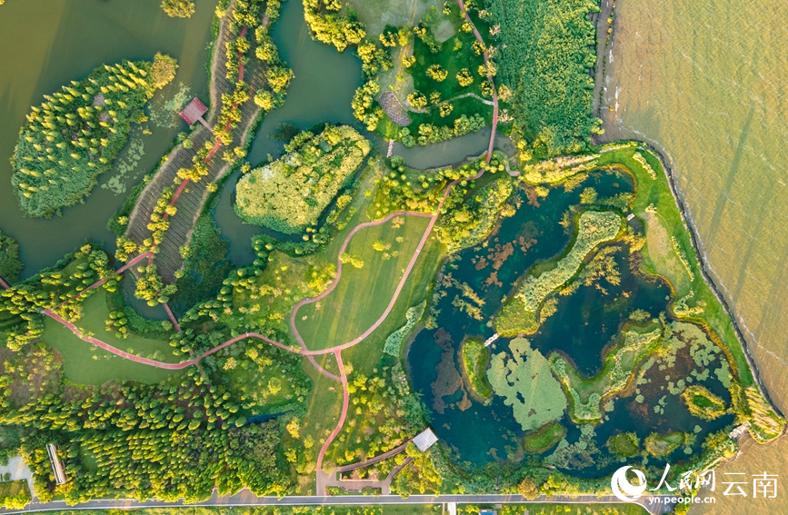 图为2022年6月19日拍摄的宝丰湿地。人民网 虎遵会摄