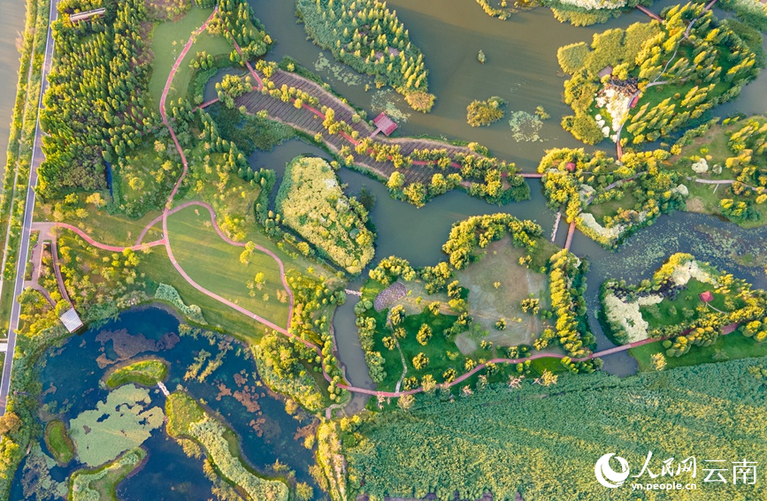 图为2022年6月19日拍摄的宝丰湿地。人民网 虎遵会摄