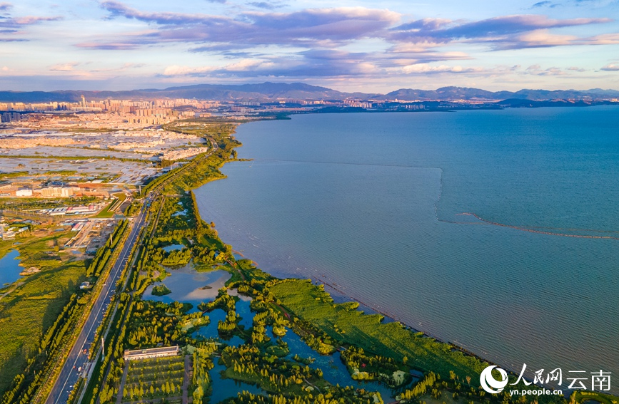 图为2022年6月19日拍摄的宝丰湿地。人民网 虎遵会摄