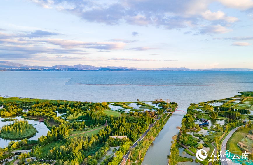 图为2022年6月19日拍摄的宝丰湿地。人民网 虎遵会摄