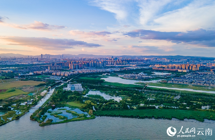 图为2022年6月19日拍摄的宝丰湿地。人民网 虎遵会摄