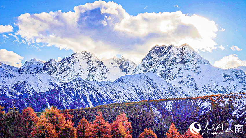 深秋遇初雪，云南白马雪山秋冬美景同框出镜。德钦县融媒体中心供图