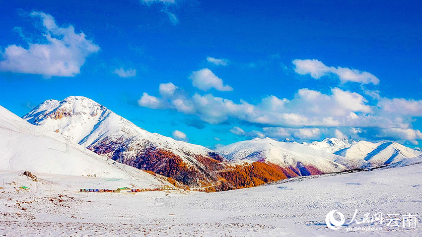 深秋遇初雪，云南白马雪山秋冬美景同框出镜。德钦县融媒体中心供图