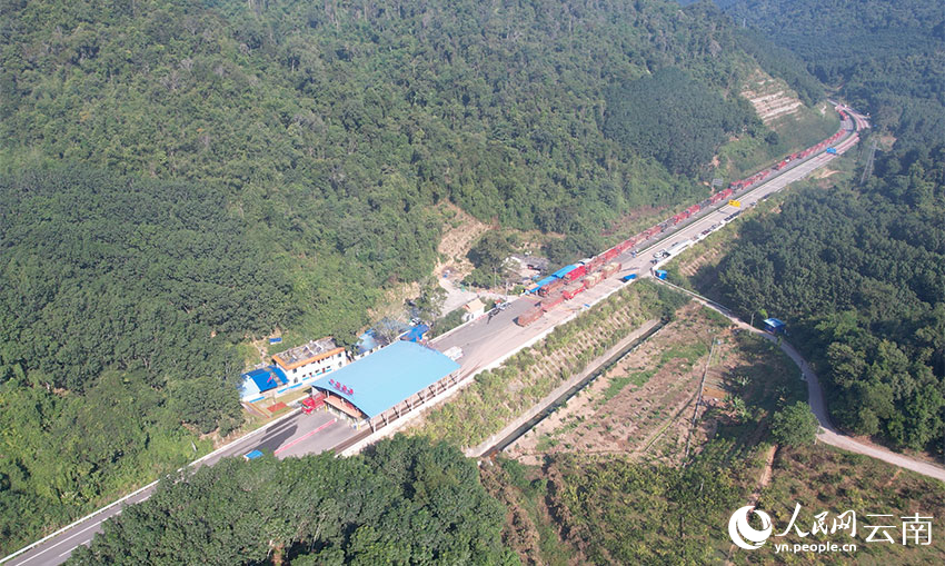 来自老挝的跨境甘蔗运输车辆在勐满口岸排队入境。 吕梁飞摄