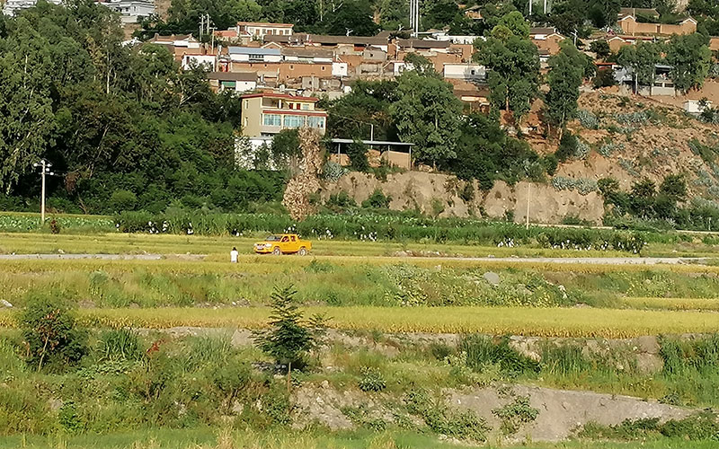 在村间开展线路巡维的供电“小黄车”。（杜明彦-摄）