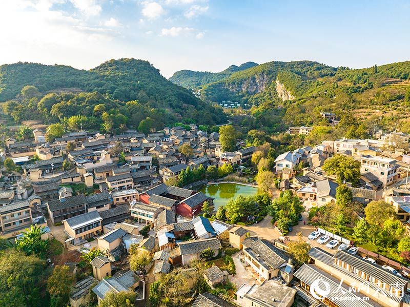 初冬时节，云南省弥勒市内的公园、街道依旧鲜花繁盛、绿意盎然，宛如春归。人民网 刘怡摄