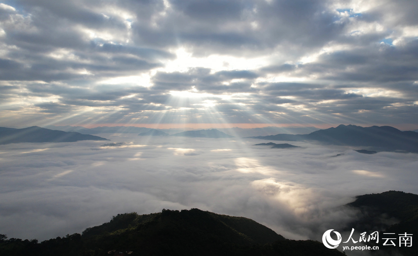 基諾山雲上的“丁達爾效應”景觀。蕭歌攝