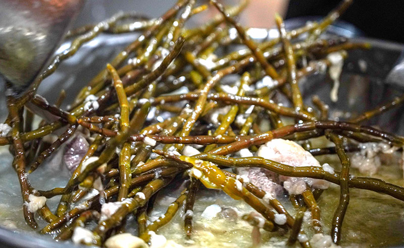 熬制米线汤的食材石斛。胡文摄