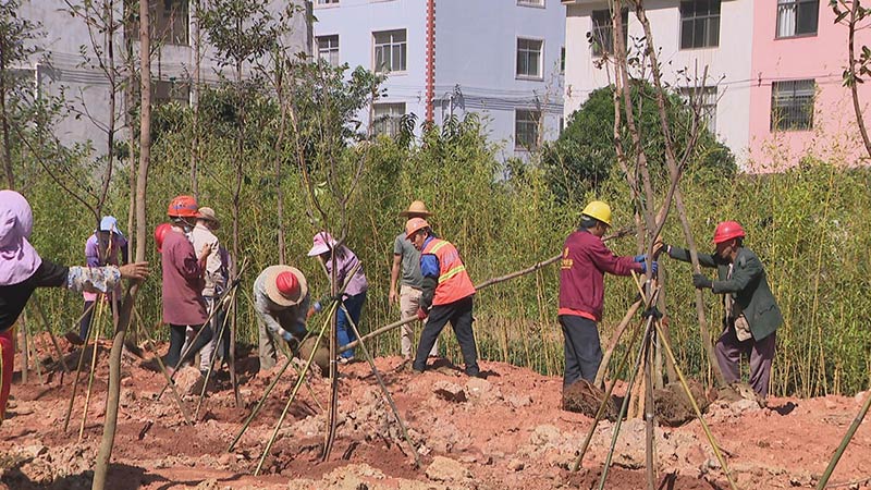 施工人员在闲置地块上植树。李海东摄