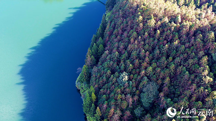 冬日，大围山里色彩斑斓的原始森林与碧蓝的水面交相辉映。李关伟摄