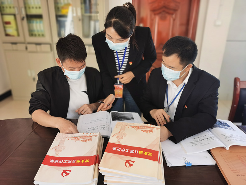 縣委巡察工作人員到村級黨支部開展巡察。富寧縣委宣傳部供圖