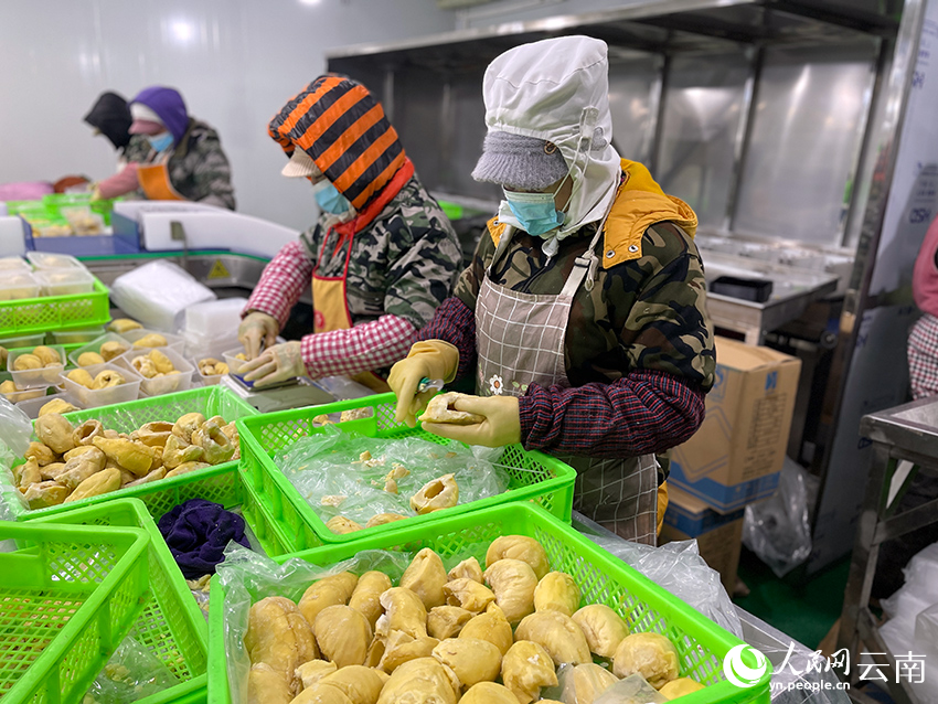 楚雄名膳堂食品有限公司的加工车间。人民网记者-程浩摄