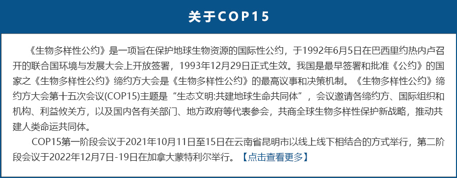 关于COP15