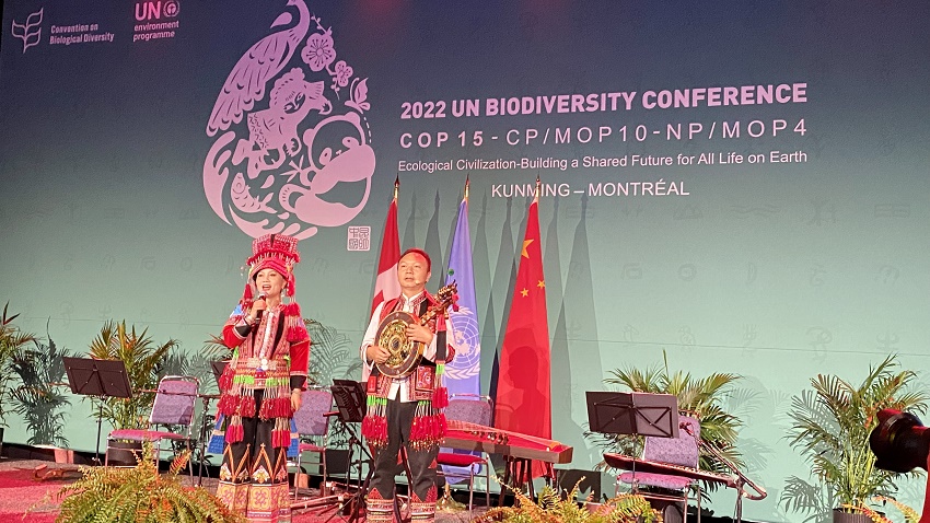 【1】李怀秀李怀福在COP15第二阶段会场唱响非遗海菜腔。（李怀秀、李怀福供图）