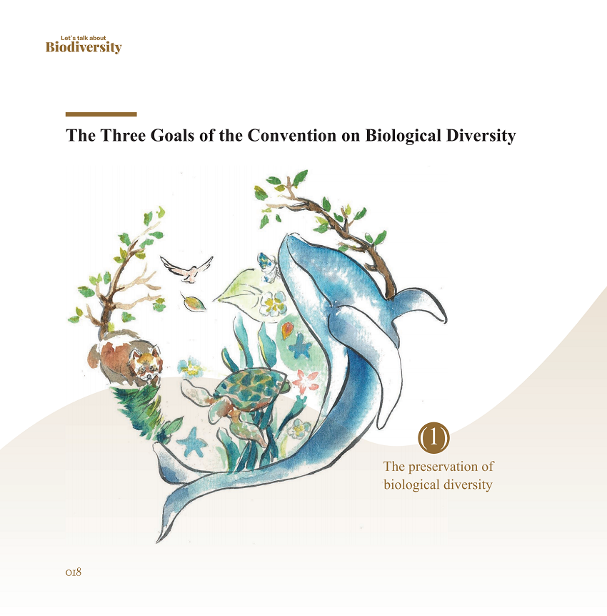 《万物同舟：生物多样性大众知识速读》（英文版）内页之美丽中国。中科院昆明动物研究所供图
