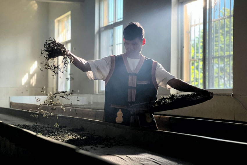 茶厂员工正在烘干茶叶。张超颖摄